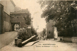 Montbéliard * Route Et Entrée Du Château - Montbéliard