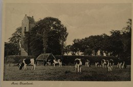 Mooi Friesland Serie No 4 (koeien) 1938 - Andere & Zonder Classificatie