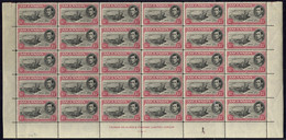 1949 1½d Black & Rose-carmine P.14 Lower Half Sheet, UM (SG.40d) Plus A Range Of Blocks Of Four Or Larger Marginal Piece - Sonstige & Ohne Zuordnung