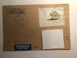 Romania Cover Sent To Cover - Cartas & Documentos