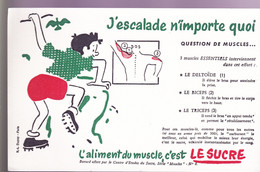 BUVARDS - L'ALIMENT DU MUSCLE C'EST LE SUCRE - Cake & Candy