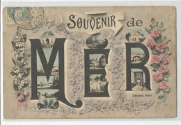 41 Loir Et Cher Souvenir De Mer Ed Desgens - Mer