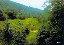 22 - Saint Nicolas Du Pélem - Vallée Du Foodel - Saint-Nicolas-du-Pélem