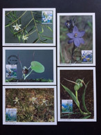 NEW ZEALAND 1990 FLOWERS SET OF 5 MAXIMUM CARDS NIEUW ZEELAND BLOEMEN - Brieven En Documenten