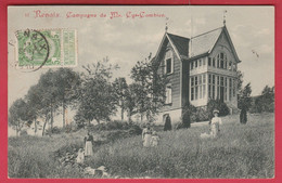 Ronse / Renaix - Campagne De Mr. Cyr Cambier - 1910 ( Verso Zien ) - Renaix - Ronse