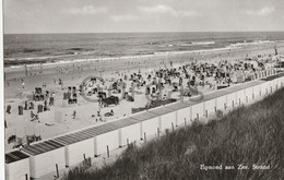 Netherlands - Egmond Am Zee - Strand - Egmond Aan Zee