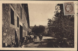 CPA CP Abbaye De ND D'Aiguebelle Par Grignan Drôme La Rentrée Du Bétail Drôme 1947 Cérès De Mazelin Surchargé TOUS ? - Grignan