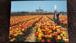 CPM CHAMPS DE TULIPES DEVANT CHAPELLLE NOTRE DAME DE TRONOEN  XIV EME S FINISTERE 29 BRETONNE COSTUME - Saint-Jean-Trolimon