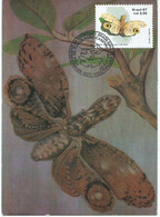 Brazil - Maximum Card - 1987 The 50th Ann. Of The Brazilian Entomology Society.butterflies / Papillons - Maximum Cards