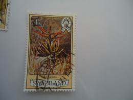 SWAZILAND  USED STAMPS  FLOWERS  CACTUS - Swaziland (1968-...)