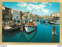 Chioggia (VE) - Viaggiata - Chioggia