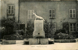 Cirey * Place Et Fontaine Du Loup - Cirey Sur Vezouze