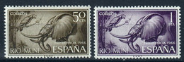 RIO MUNI - Faune, Lion, éléphants, Perroquets, Pro Infancia 1966 - Ed. N° 69-71 - MNH - Rio Muni