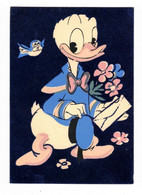 Walt Disney Cp Feutre Feutrine Felt Canard Duck Anatra Donald Oiseau Bird Uccello Fleur Flower Fiore En B.Etat - Andere & Zonder Classificatie