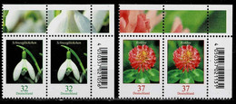 Bund 2022,Michel# 3655 - 3656 ** Blumen: Schneeglöckchen Und Rotklee Eckrandpaar - Neufs