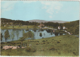 Loire :  NOIRETABLE :  étang  De  Royon - Noiretable