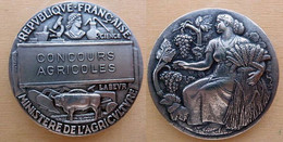 DA-083 Médaille Bronze Argenté  1989 Signée HM Petit République Française Ministère De L'Agriculture - Bronzen