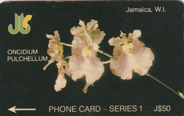 JAMAICA. JAM-11A - 11JAMA (b). Oncidium Pulchellum. 1993. (014) - Jamaica
