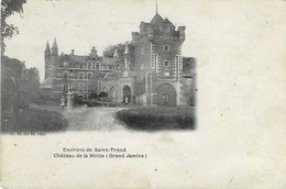 Sint-Truiden - Chateau De La Motte - Sint-Truiden