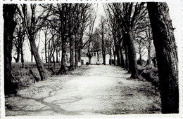 Chapelle Vaux Sous Chevremont  Carte Photo Gevaert 1946 - Chaudfontaine