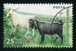 Türkiye 2007 Mi 3591 Goat (Capra Aegagrus Hircus), Domestic Farm Animal - Used Stamps