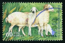 Türkiye 2007 Mi 3593 Sheep (Ovis Ammon Aries), Domestic Farm Animal - Usati