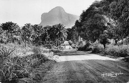 Guinée Route De Coyah à Kindia Hoa-Qui - Guinée