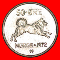 * DOG (1958-1973): NORWAY ★ 50 ORE 1972 MINT LUSTRE! OLAV V (1957-1991) LOW START ★ NO RESERVE! - Norway