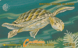 ISLAS VIRGENES BRITANICAS. BVI Wild Life - Turtle. 1994. BVI-19C. 19CBVC. 22500 Ex. (882) - Jungferninseln (Virgin I.)