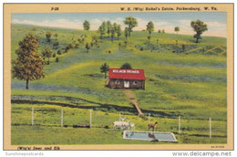 West Virginia Parkersburg W H "Wig" Bickel's Estate Elks Home Curteich - Parkersburg