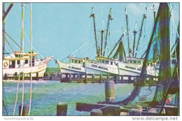 Texas Corpus Christi Shrimp Fleet - Corpus Christi