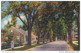 Massachusetts Cape Cod Typical Street In A Cape Cod Village - Cape Cod