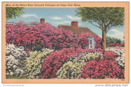 Massachusetts Cape Cod Typical Rose Covered Cottage 1957 - Cape Cod