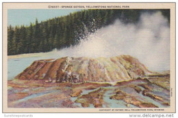 Sponge Geyser Yellowstone National Park Curteich - USA Nationale Parken