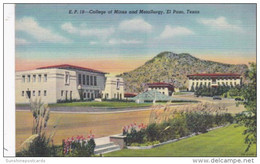 Texas El Paso School Of Mines And Metallurgy Curteich - Dallas