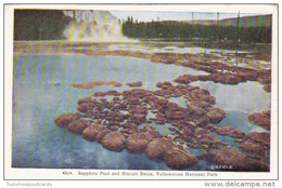 Sapphire Pool And Biscuit Basin Yellowstone National Park - USA National Parks