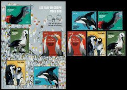 2021 NEW *** TAAF 2021. Antarctic Birds. Complete Set + S/S. MNH France (**) - Ungebraucht