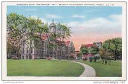 Illinois Peoria Horology Building & Bradley Hall Bradley Polytechnic Institute - Peoria