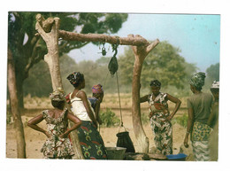 Senegal  Femmes Sereres Et Peuhls Du Sine Saloum Pular Woman Ethnique Ethnic Indigene CPA Native Afrique Africa - Senegal