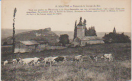 (71) SOLUTRE ( 356 Ha)  Prieuré De La Grange Aux Bois ( Troupeau De Vaches Dans Un Pré) - Other & Unclassified