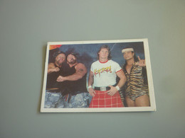 The Bushwackers Rowdy Roddy Piper Jimmy Snuka WWF Wrestling Old 90's Greek Edition Trading Card - Tarjetas