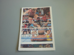 Million Dollar Man & Hulk Hogan WWF Wrestling Old 90's Greek Edition Trading Card - Trading Cards