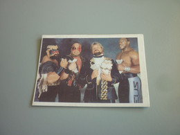Legion Of Doom Million Dollar Man WWF Wrestling Old 90's Greek Edition Trading Card - Trading-Karten