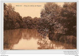 NEUPONT ..--  Etang Du Château De NEUPONT . - Wellin