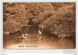 NEUPONT ..--  La Lesse à NEUPONT . La BAIGNADE !! - Wellin