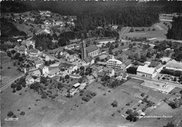 67-WANGENBOURG- VUE D'AVION - Sonstige & Ohne Zuordnung