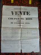GRANDE ET RARE AFFICHE COUPES DE BOIS 1845 ILLE ET VILAINE EAUX ET FORETS RENNES BON ETAT VOIR HISTORIQUE - Posters