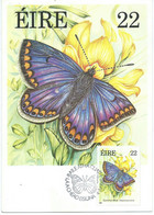 Ireland - Maximum Card  - 1985 Butterflies - Cartes-maximum