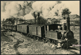 Train Militaire Au Départ De Bière, Vers 1910 (BAM) - Edit. BVA (carte Moderne) - Voir 2 Scans Larges - Bière