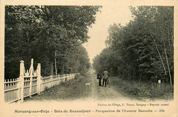 Morsang Sur Orge * Le Bois De Beauséjour * Perspective De L'avenue Beausite - Morsang Sur Orge